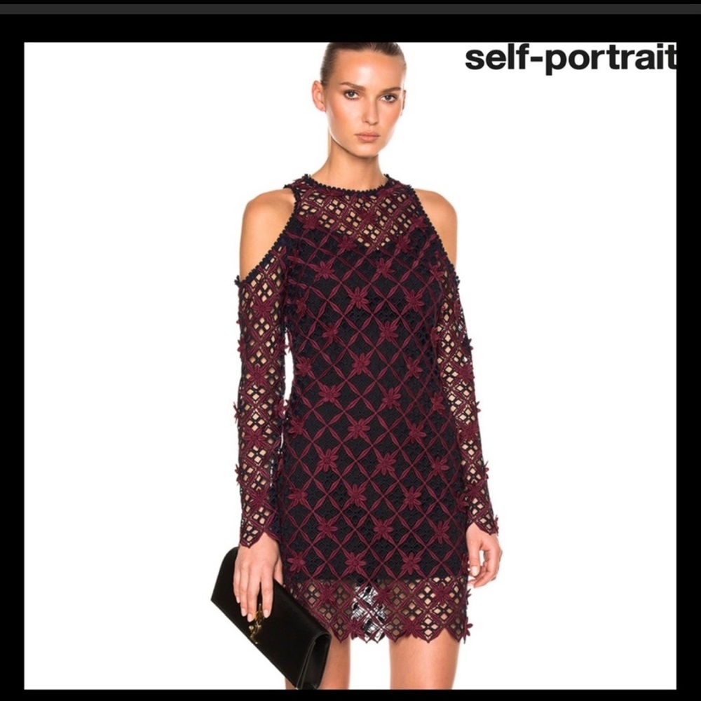 Self-Portrait Lace Pattern Mini Dress- Brand NEW!